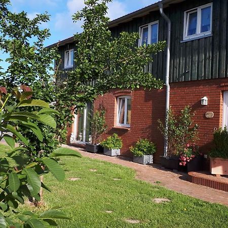 " Haus Zwischen Den Meeren " Strubbel Esterno foto