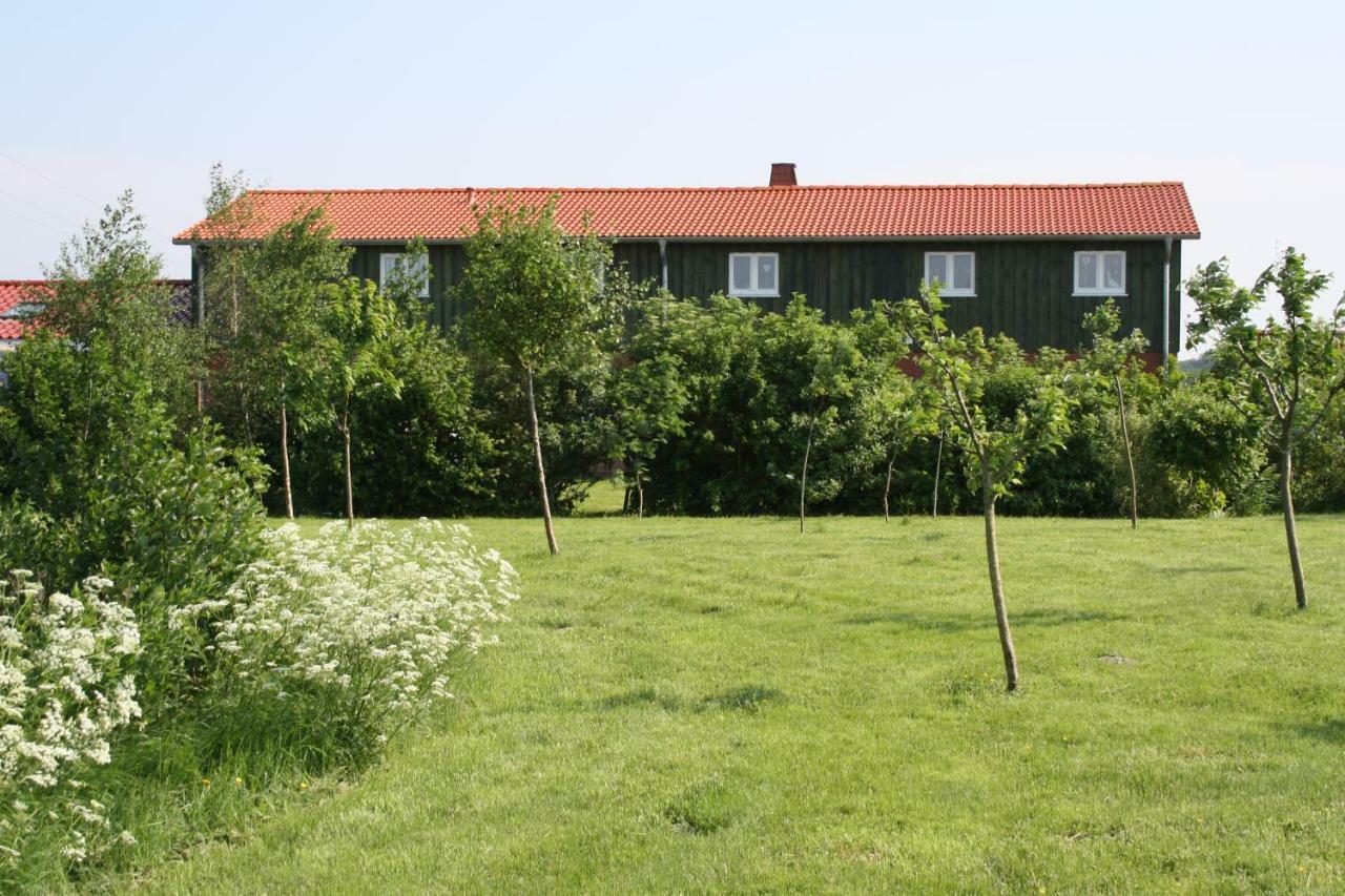 " Haus Zwischen Den Meeren " Strubbel Esterno foto